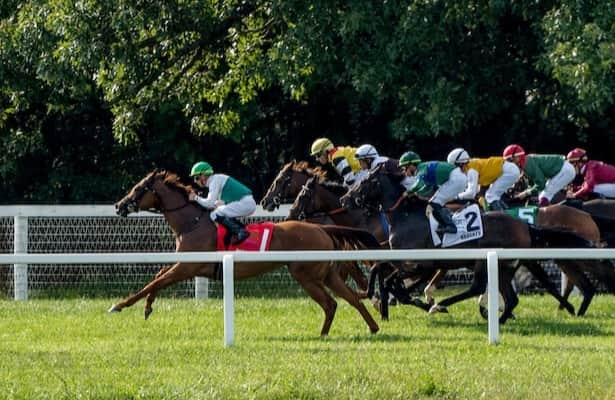 Prospect Watch: Turf-pedigreed youngsters step out at KY Downs