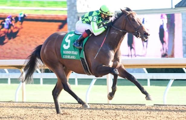 Prospect Watch: .3 Million half-sibling to Kimari debuts