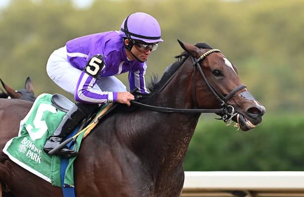 Horses to Watch: 4 winners, 1 to try again, 3 to drop