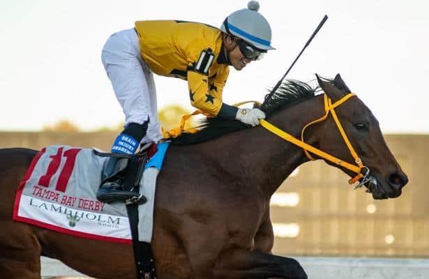 It's a go: King Guillermo nominated to Triple Crown series 
