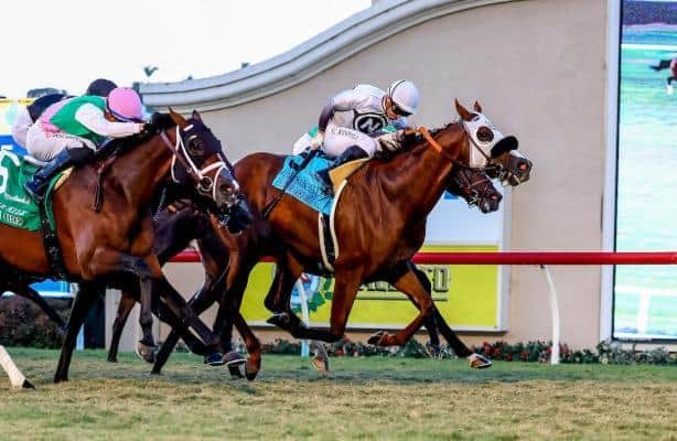 2025 Grade 1 Winners Return to Training