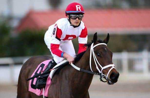 Ramsey has the two favorites in Ramsey Farm Stakes
