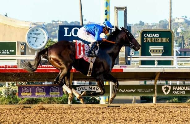 Bill Mott to decide Breeders' Cup race for Knightsbridge