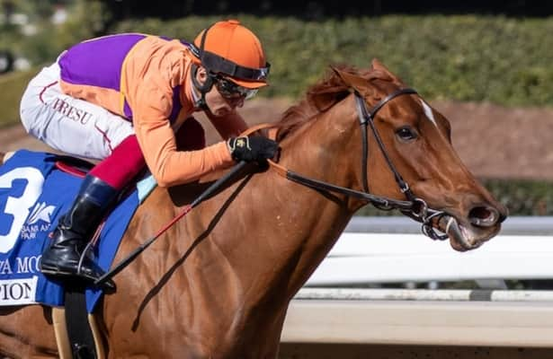 Speed figures: These are last week’s fastest stakes winners