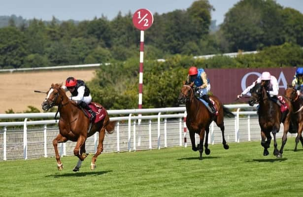 World’s top stayer Kyprios wins again, takes Goodwood Cup