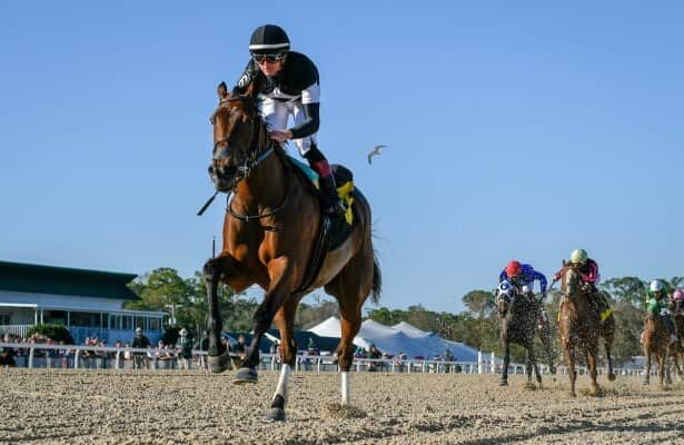 Gulfstream: Impressive La Cara returns in Kentucky Oaks prep