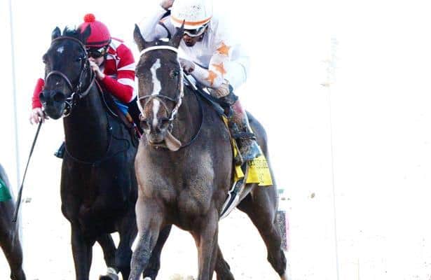Lady Apple to follow Midnight Bisou's Eclipse-winning path