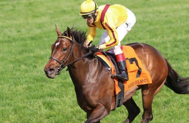 Prospect Watch: Lady Aurelia’s 2nd foal is set to debut