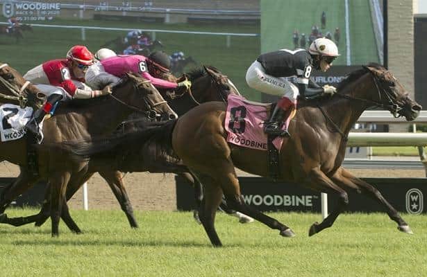 Lady Grace just misses track record in Woodbine's Royal North
