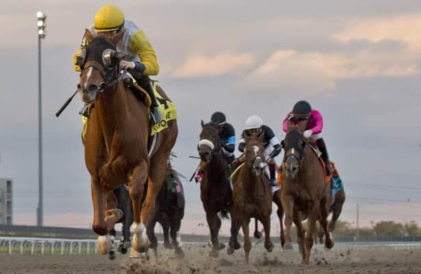 Which horse was fastest during weekend? (Hint: She’s a Lady)