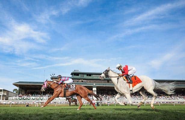 Lambeth connections consider Breeders' Cup after Sycamore win
