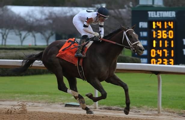 Essex Handicap 2023: Odds, free PPs for Oaklawn Handicap prep