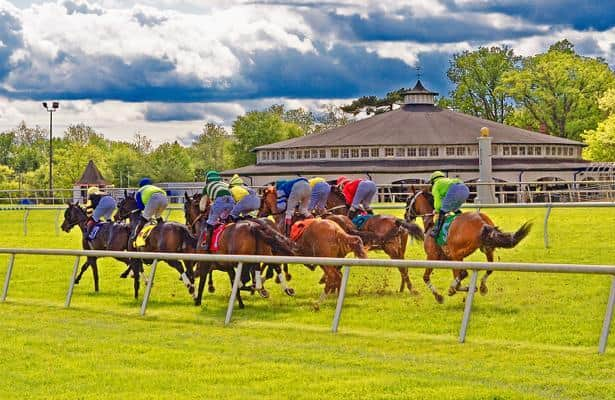 Maryland Million Day Attracts 213 Pre-entries For Saturday At Laurel