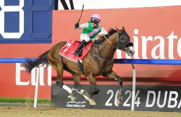 Laurel River takes top spot in world’s best racehorse rankings