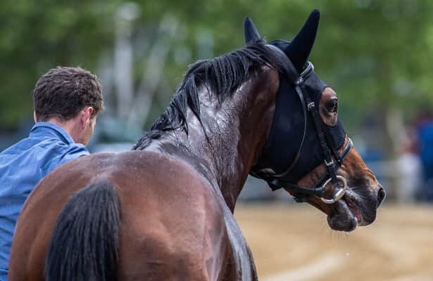 Appleby, Godolphin put Legend of Time in Belmont Derby