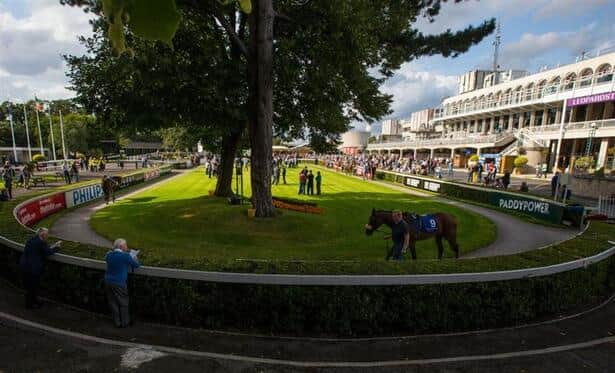 Breeders’ Cup: Leopardstown hosts 3 win-and-you’re-in races