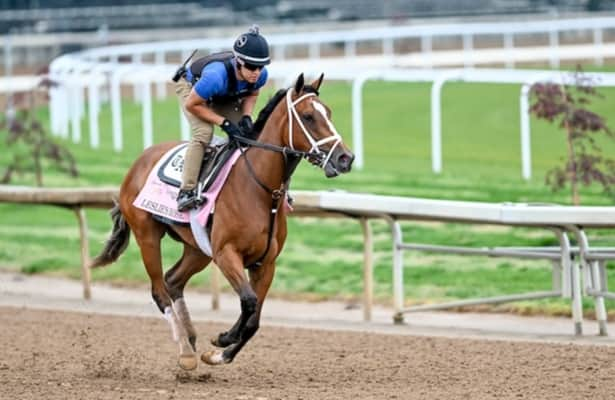 Thursday works: 8 graded-stakes winners are on the tab