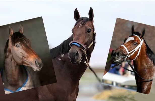 7 big earners are retired in ’22, so does that hurt racing in ’23?