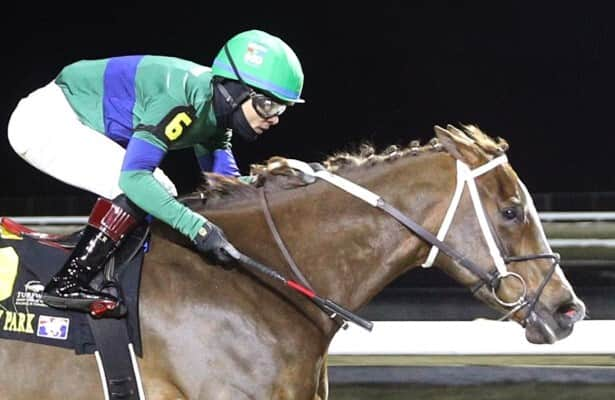 Turfway Park: Lithe Spirit scores 14-1 upset in Wishing Well