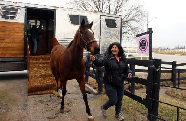 Racehorses Make Their Way Back to Woodbine