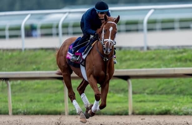 Friday tab: Pegasus World Cup runners get back to work