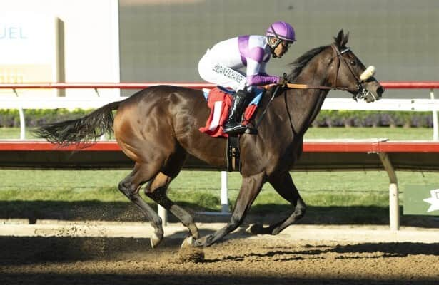 Kentucky Oaks prep: Look Forward is favored in Santa Ynez