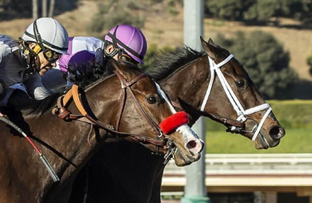 Look Forward narrowly wins Santa Ynez & 10 Ky. Oaks points