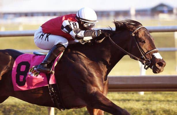 Lovable Lady Shows Affinity for Laurel Park in Willa On the Move