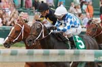 September 06, 2014: Lucky Player and Ricardo Santana Jr. win the 33rd running of the Iroquois Grade 3 $100,000 "Win and your in Juvenile Division" Breeders Cup prep race for owner Jerry Durant and trainer Steve Asmussen. Candice Chavez/ESW/CSM