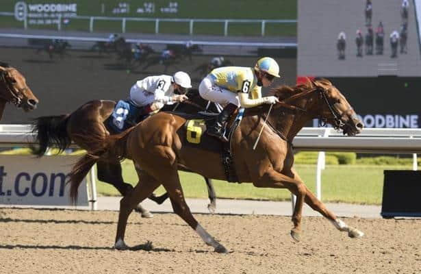  Seven ready to test Marine, Selene stakes at Woodbine