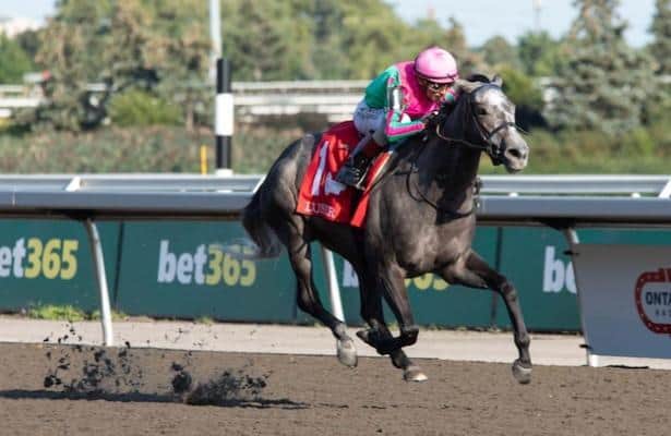 Carroll is 'happy'with Luster ahead of Saturday's QEII Challenge