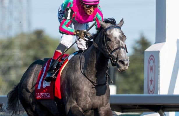 Queen Elizabeth II Cup: Odds, analysis for Keeneland turf test