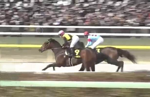 Pharoah colt moves to front of Japan road to Kentucky Derby