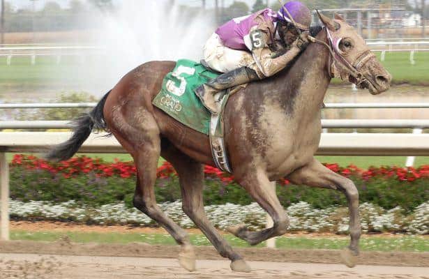 Stars Shine in Night of Indiana Stakes