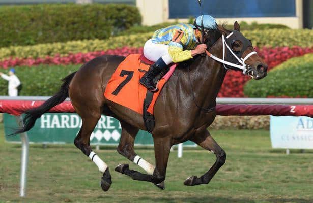Madame Uno seeks to rebound in Ginger Punch Stakes