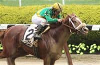 May 9 2015: Madefromlucky with Javier Castellano win the 61st running of the Grade II Peter Pan Stakes for 3-year olds going 1 1/8 mile at Belmont Park. Trainer Todd Pletcher. Owner Cheyenne Stables & Nichol Mac. Sue Kawczynski/ESW/CSM