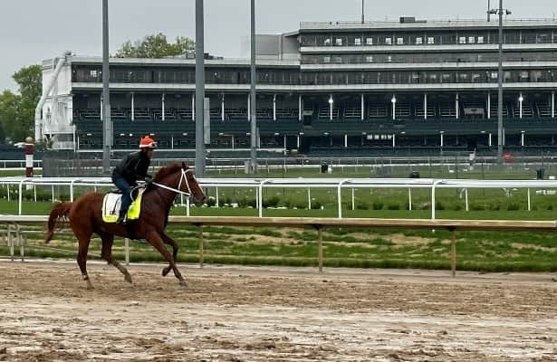 Preakness 2023 Mage gallops Pletcher seeks clarity