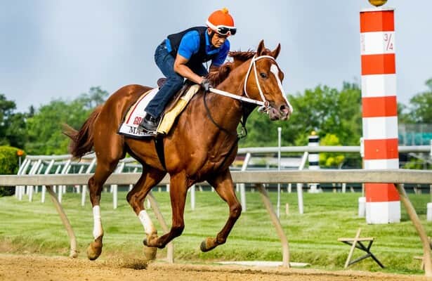 Preakness 2023: Mage maintains routine training for Saturday