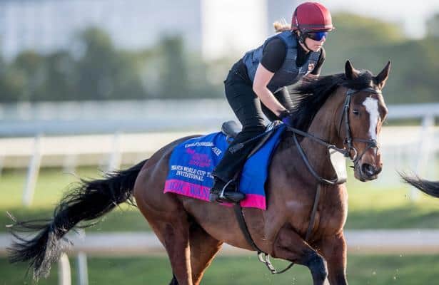 Pegasus World Cup Turf 2020: Entries, odds and analysis
