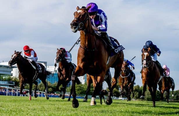 Breeders’ Cup Turf 2020: Odds and analysis