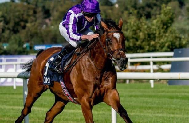 Aidan O'Brien discusses his expected Breeders' Cup entries