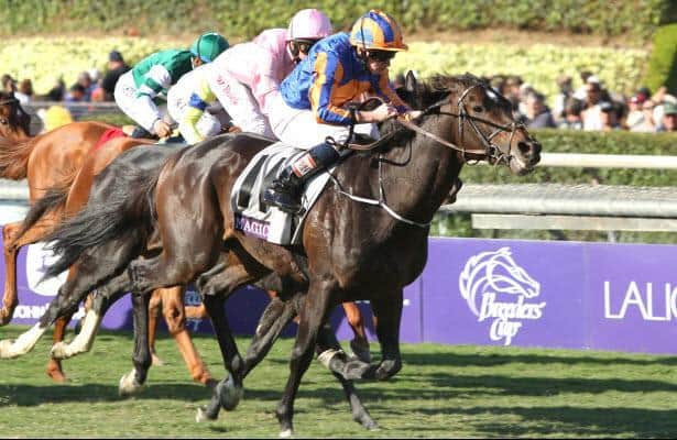 2014 Breeders’ Cup Turf from A to Z