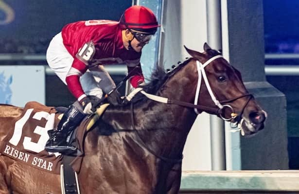 Report: Magnitude is off Kentucky Derby trail with bone chip