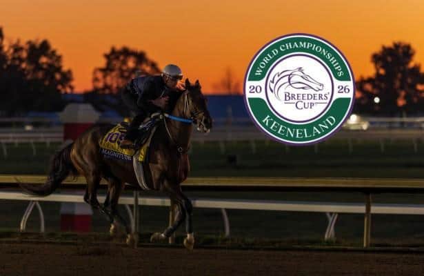 Magnitude rebuilds his case entering Breeders’ Cup Classic