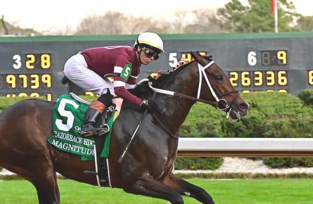Magnitude works well ahead of Stephen Foster showdown