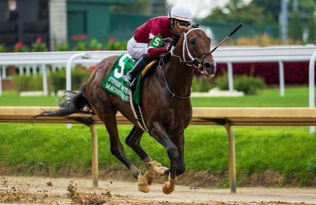 Winchell Thoroughbreds’ Top-Rated Horse Magnitude to Continue Racing