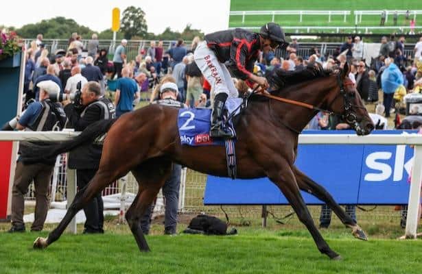 The Arc: Haggas looks to fulfill a dream with Maltese Cross