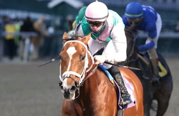 Lecomte Stakes 2021 guide: Odds, PPs and picks