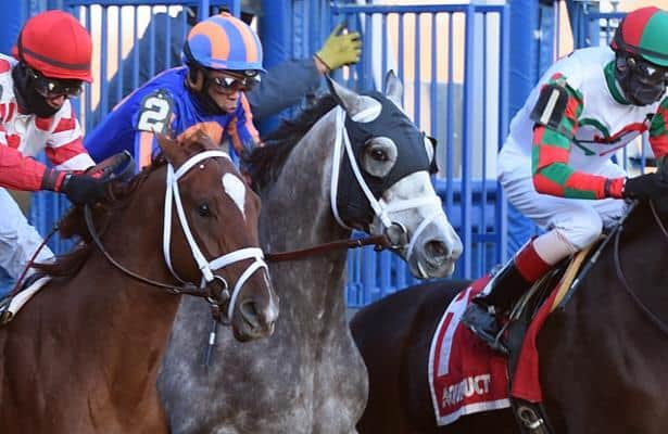 Free full card win picks for Thursday's Belmont Park races