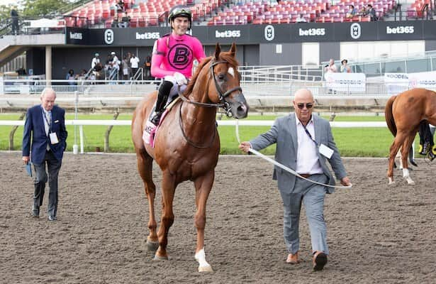 Barn Tour: Youth movement propels Casse’s stable